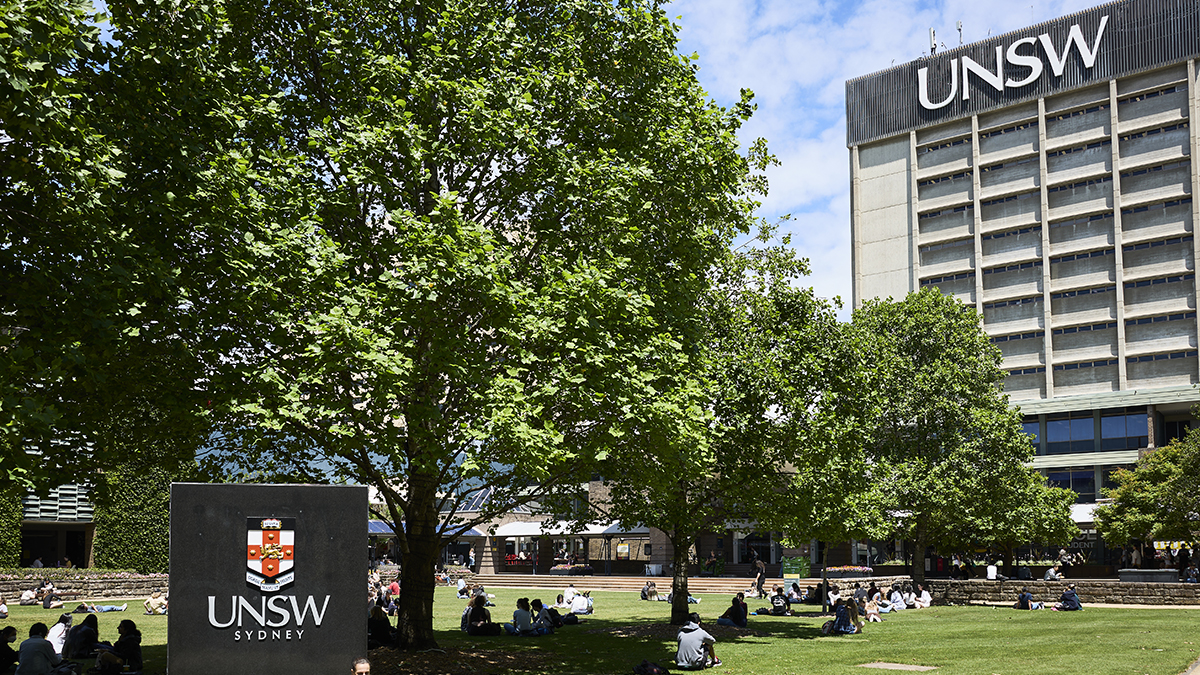 Students on the library lawn