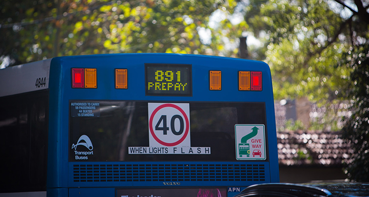 891 Bus
