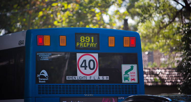 891 Bus