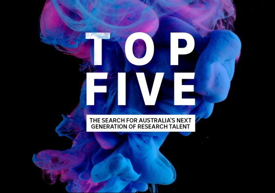 ABC top 5