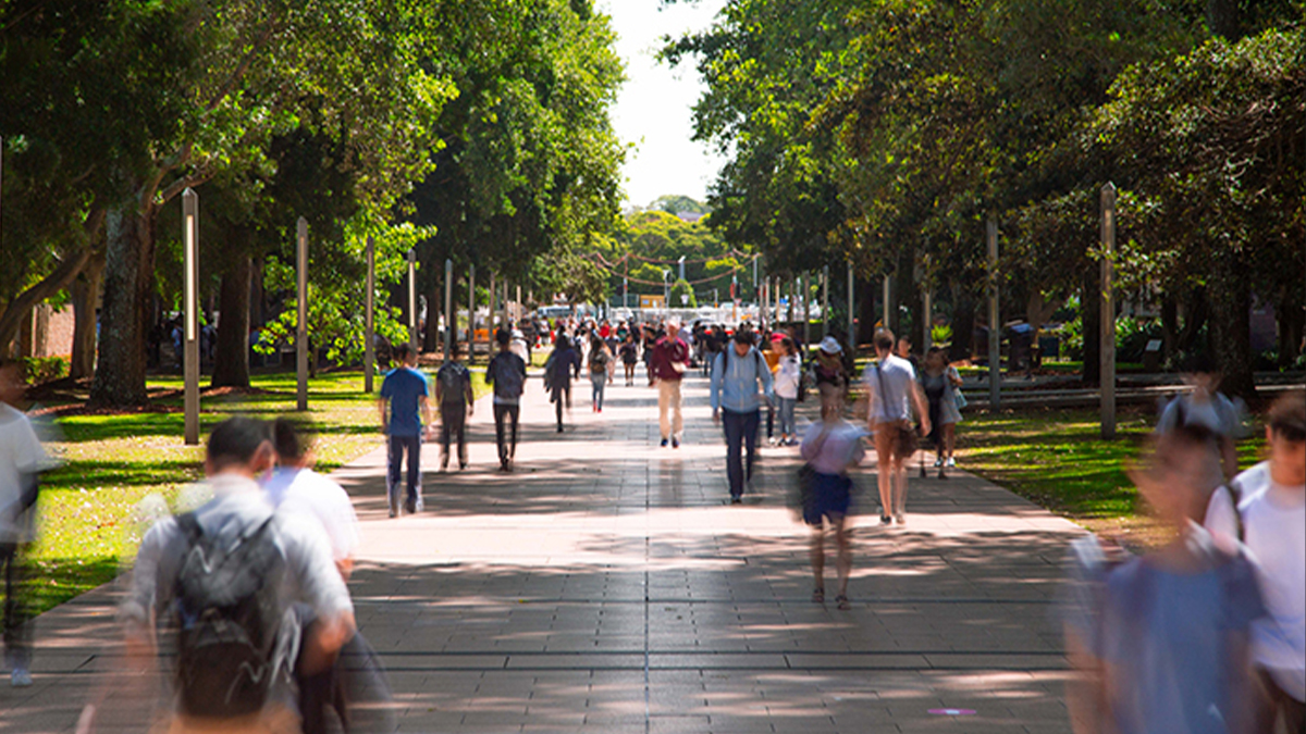 UNSW tops world subject rankings for sixth year