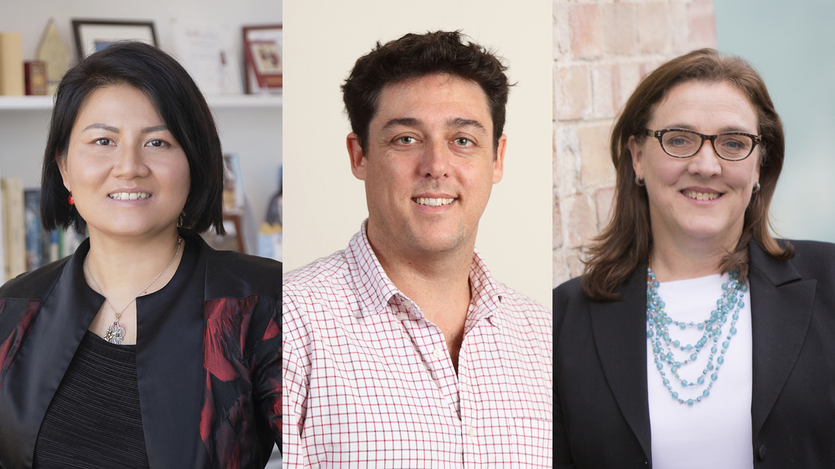 Three UNSW researchers elected as Fellows