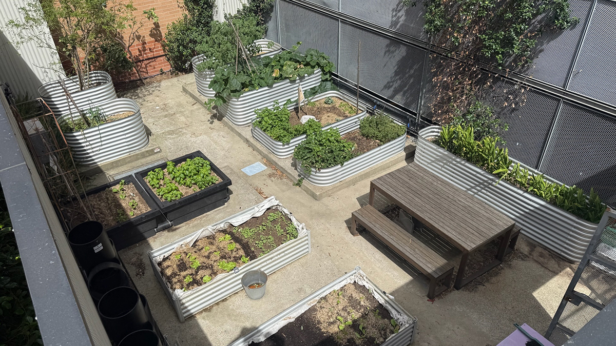 Urban garden