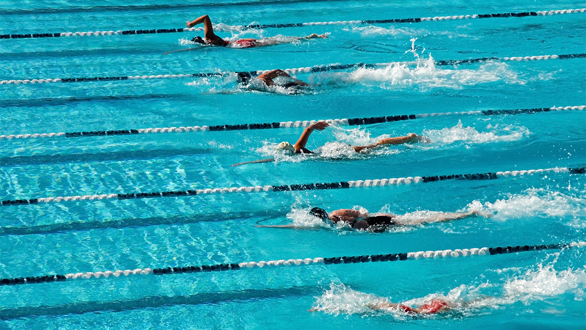 People swimming in lanes