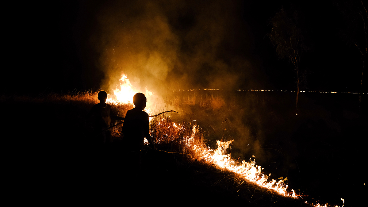 bushfire