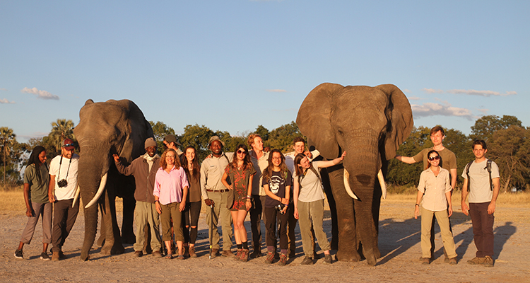 Students and staff with elephants in Botswana