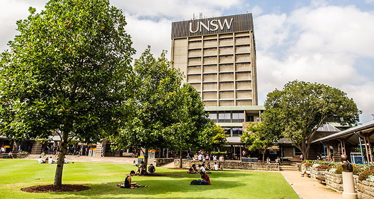UNSW Library building and lawn