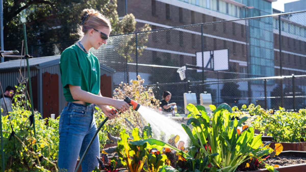 Urban garden
