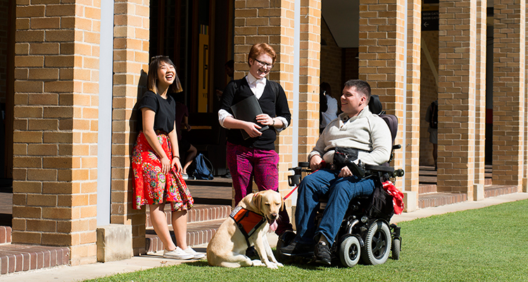 Disability Innovation Institute