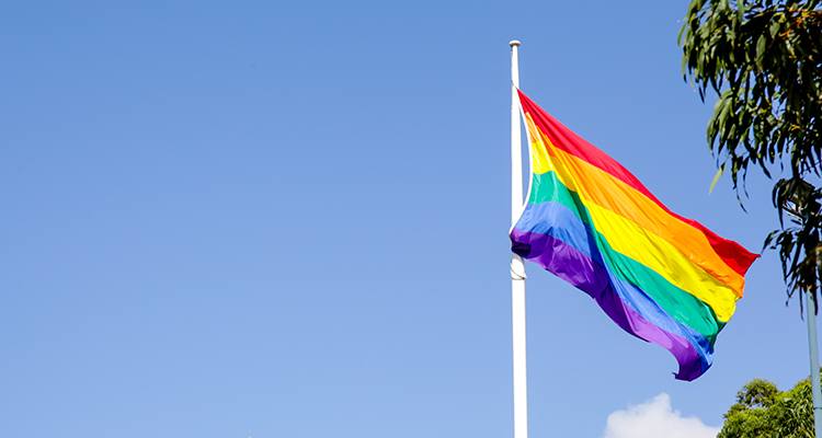 UNSW Sydney rainbow flag