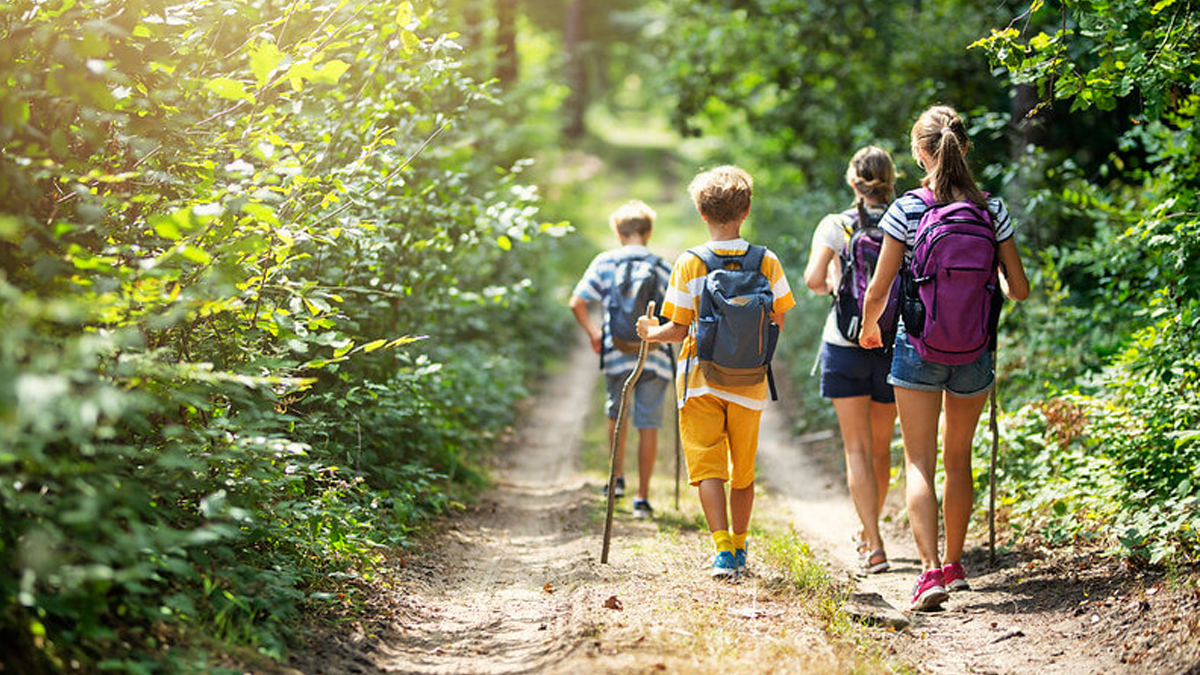 Family walking in the forest