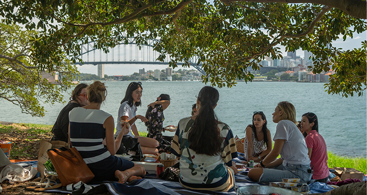 Entrepreneurs having a picnic