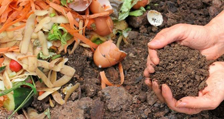 food waste turning to compost