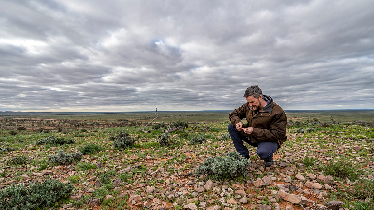 UNSW Sydney's Fowlers Gap enters new era of conservation