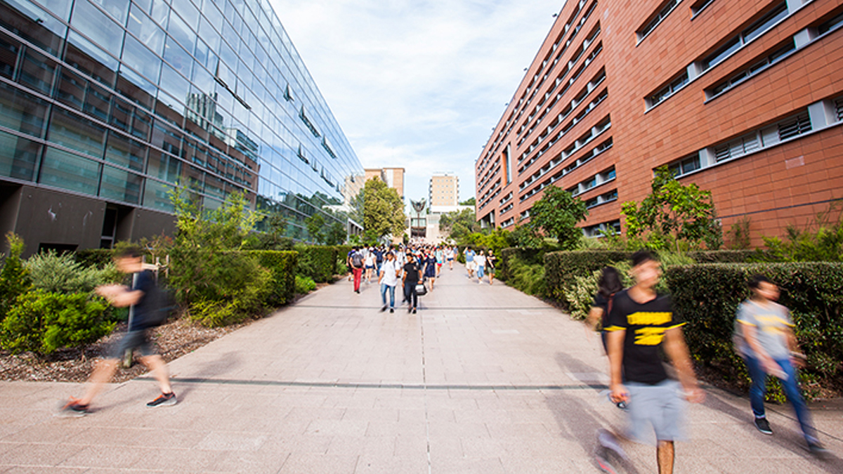 UNSW Academic and Faculty Boards Elections