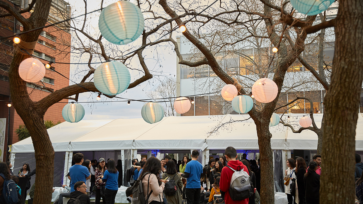 Lanterns hanging from trees during O Week