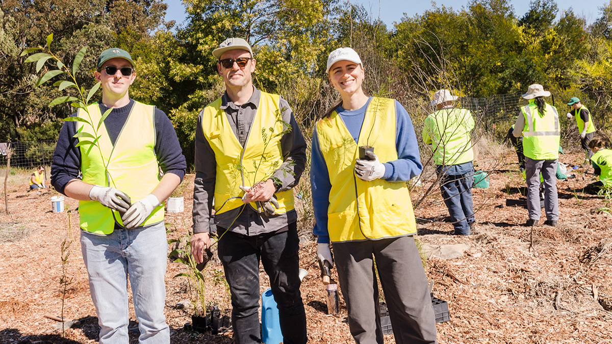 3 people planting plants