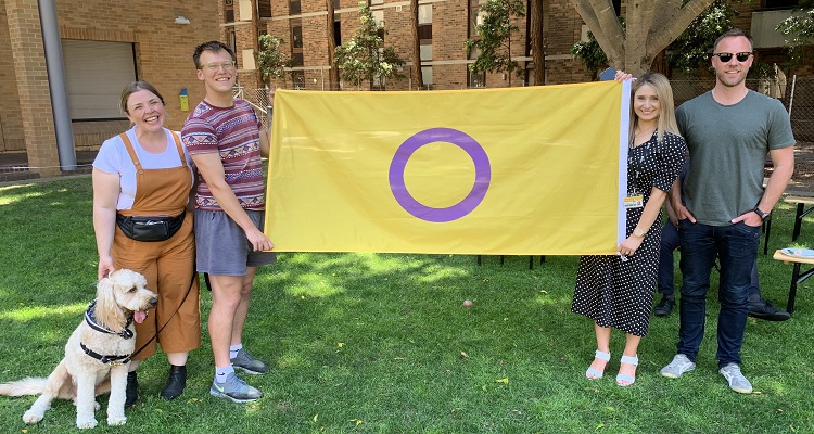 intersex flag 