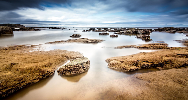 Intertidal zone