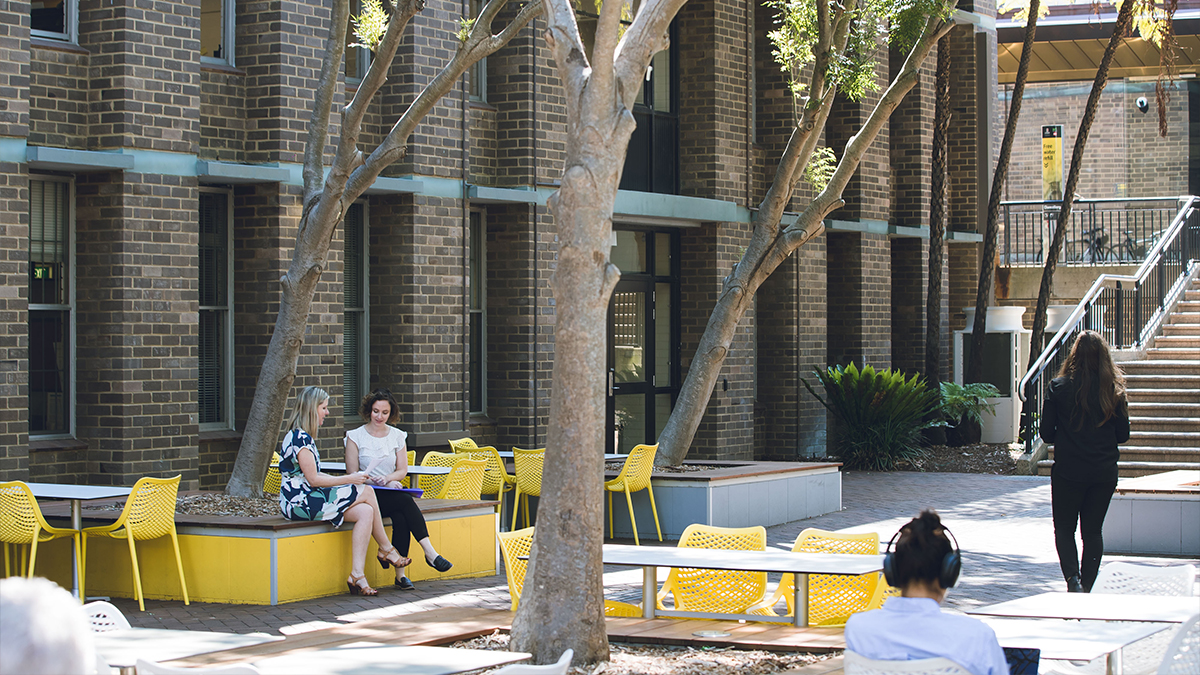 UNSW launches two new staff development initiatives