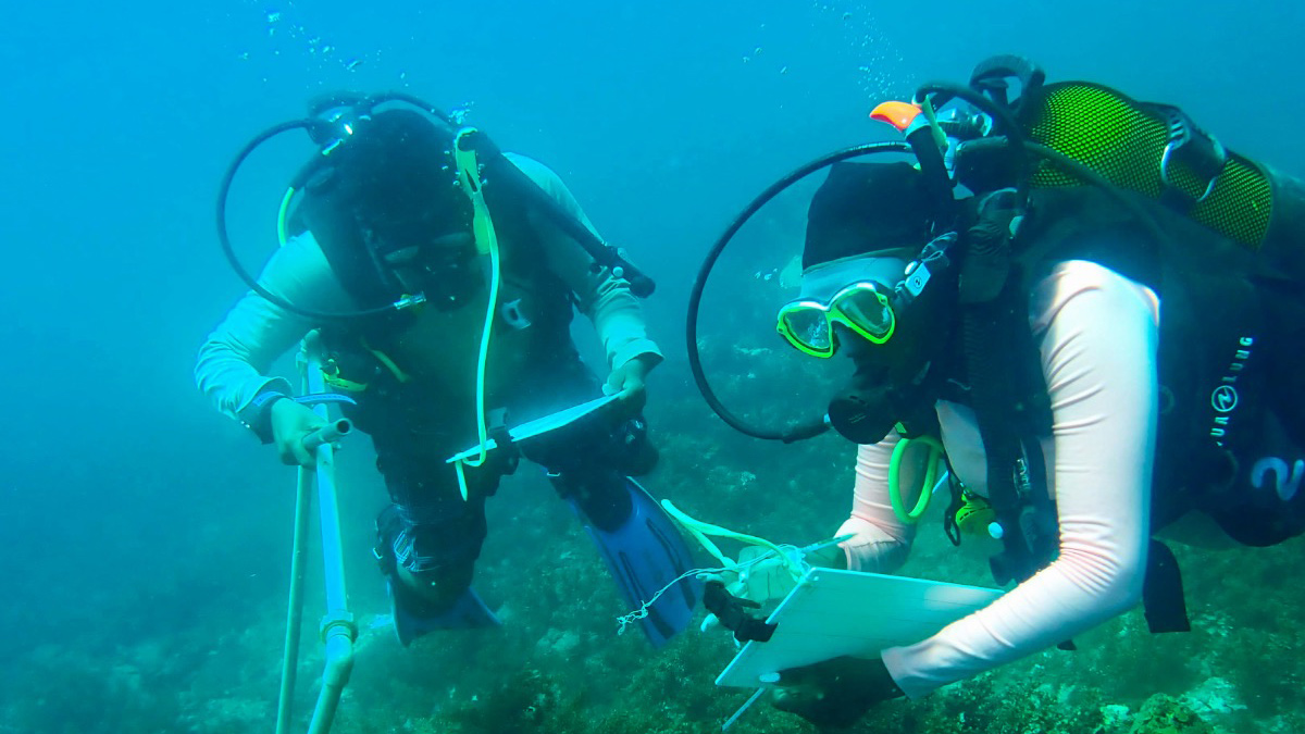 Two scuba divers with clipboards underwater