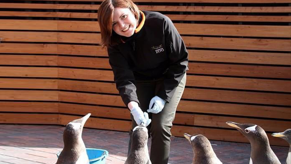 Liz Riley feeding penguins at Edinburgh Zoo