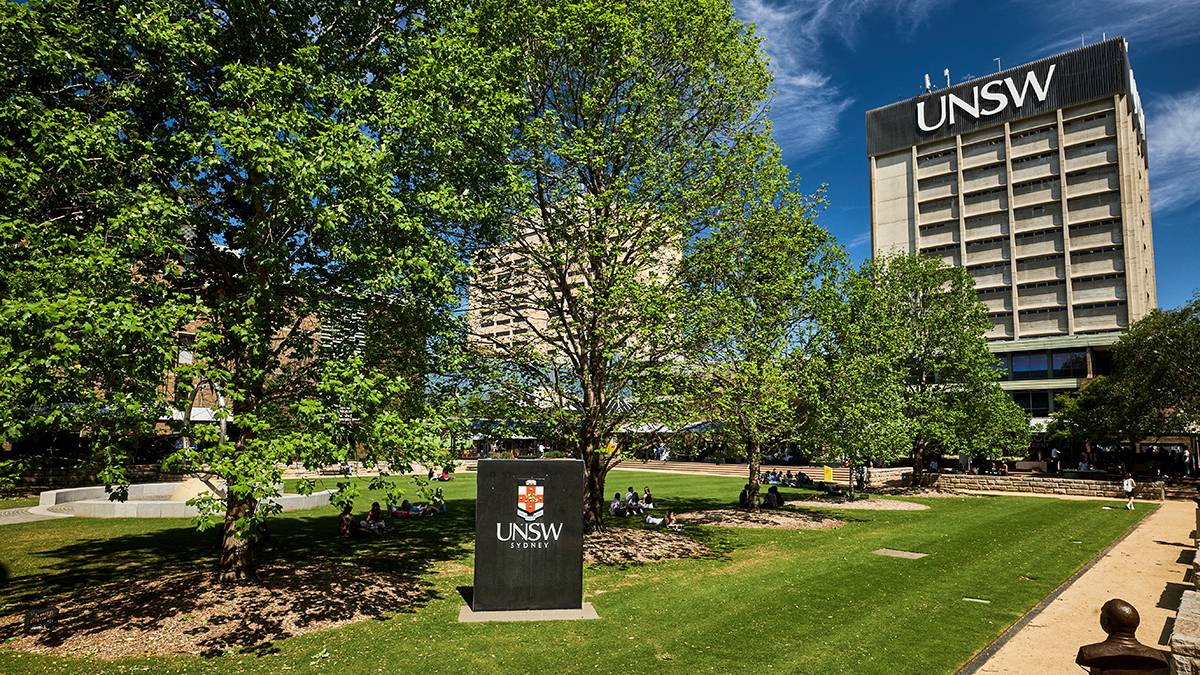 The UNSW lawn on Kensington Campus.
