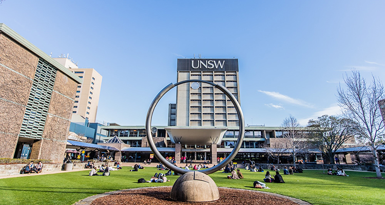 UNSW Library Lawn