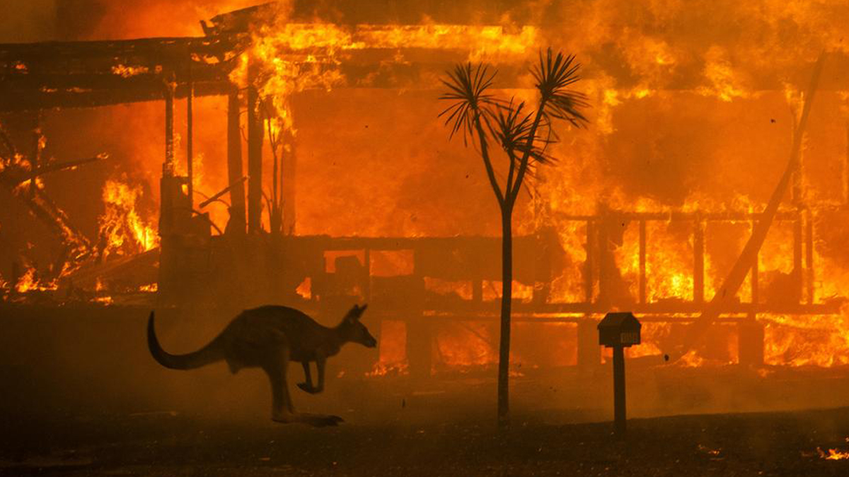 UNSW establishes the Resilient Futures Collective