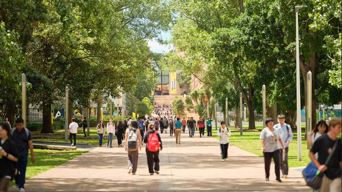UNSW students walking up the mall