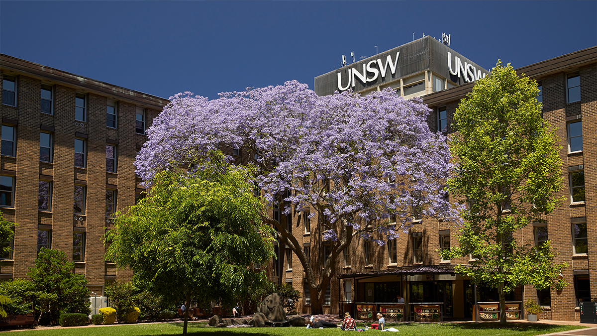 UNSW launches new SDG brand toolkit 