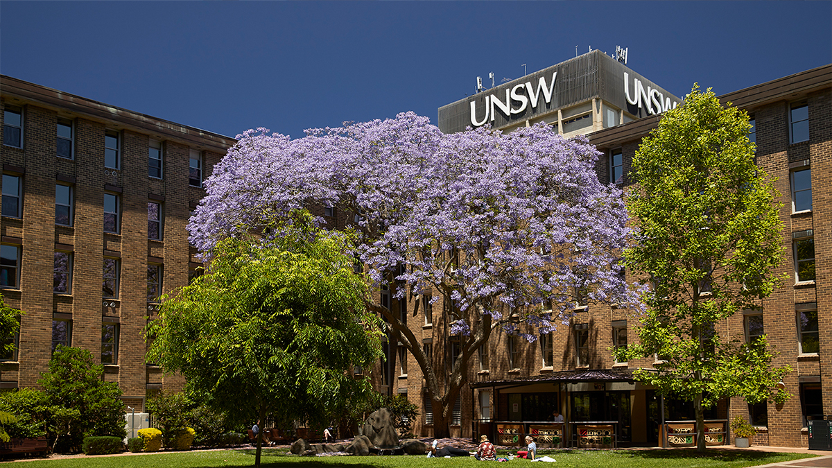 UNSW launches new SDG brand toolkit