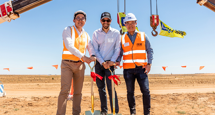 A new solar farm in regional NSW will power over 50,000 households and allow UNSW to become energy carbon neutral by 2020.