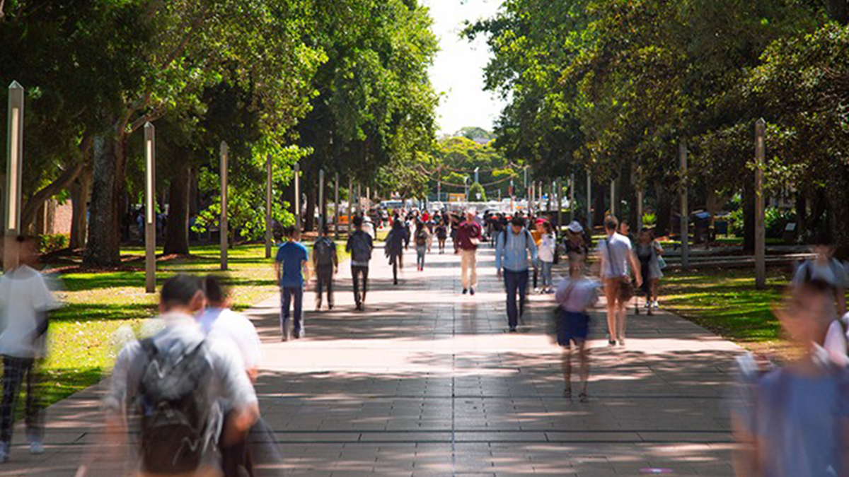Students on campus