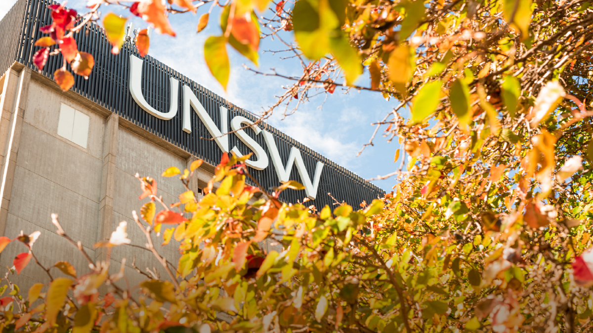 View of UNSW logo on library tower through autumn leaves