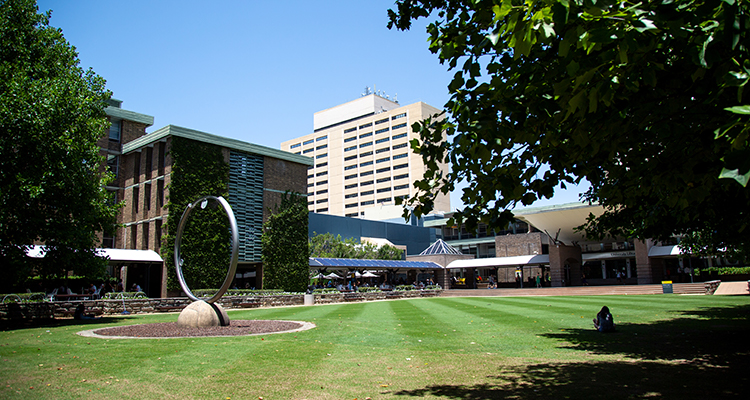 UNSW Library Lawn