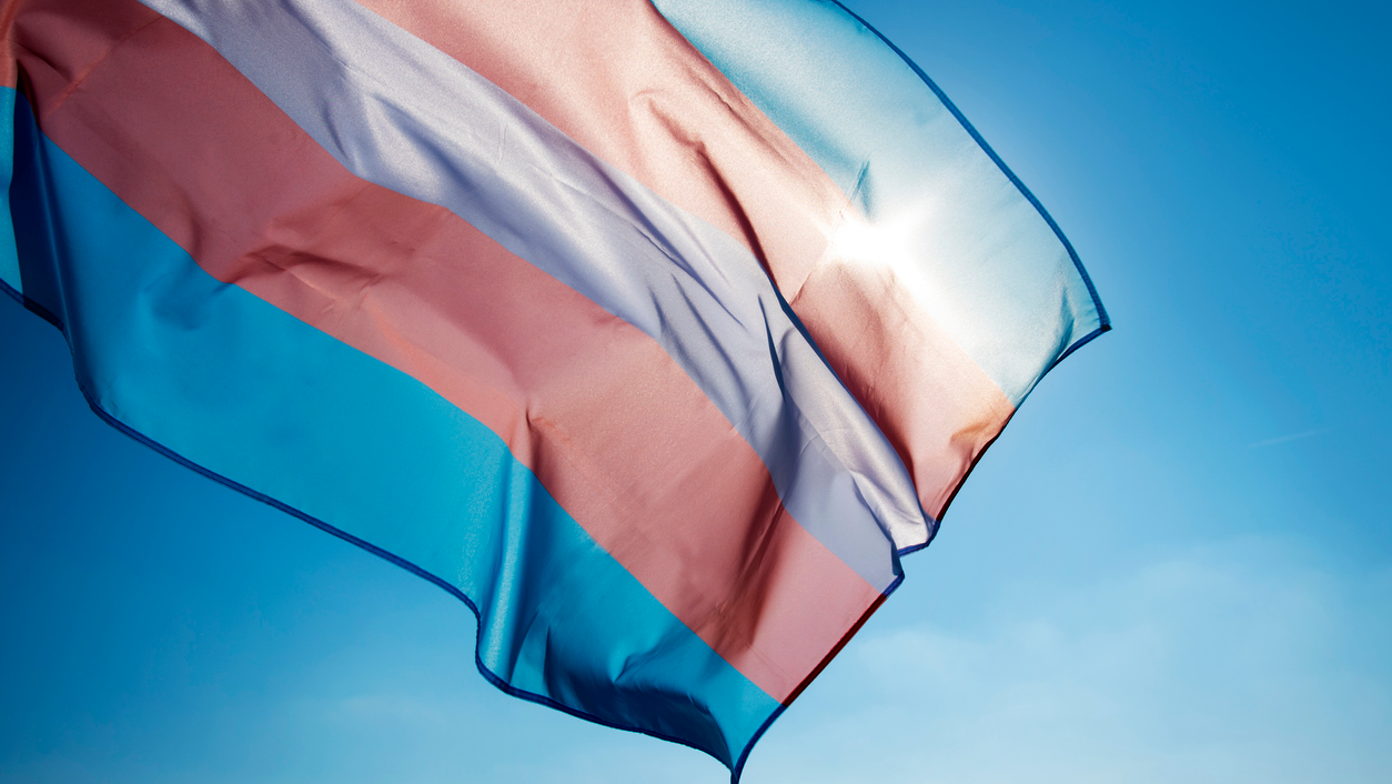 Transgender flag