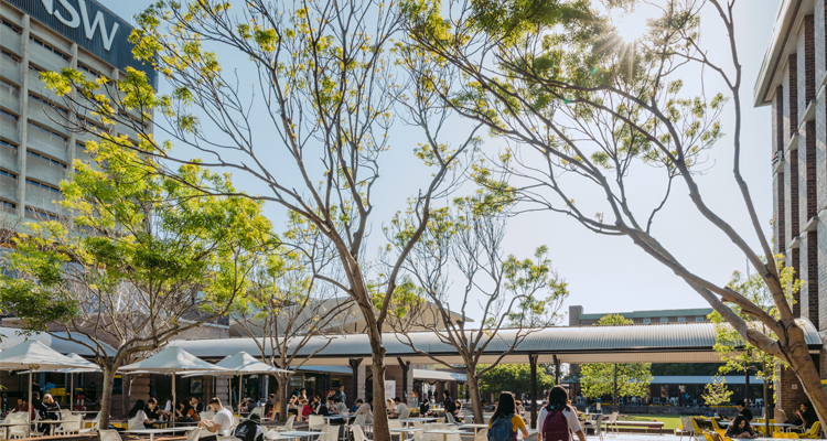 UNSW quadrangle