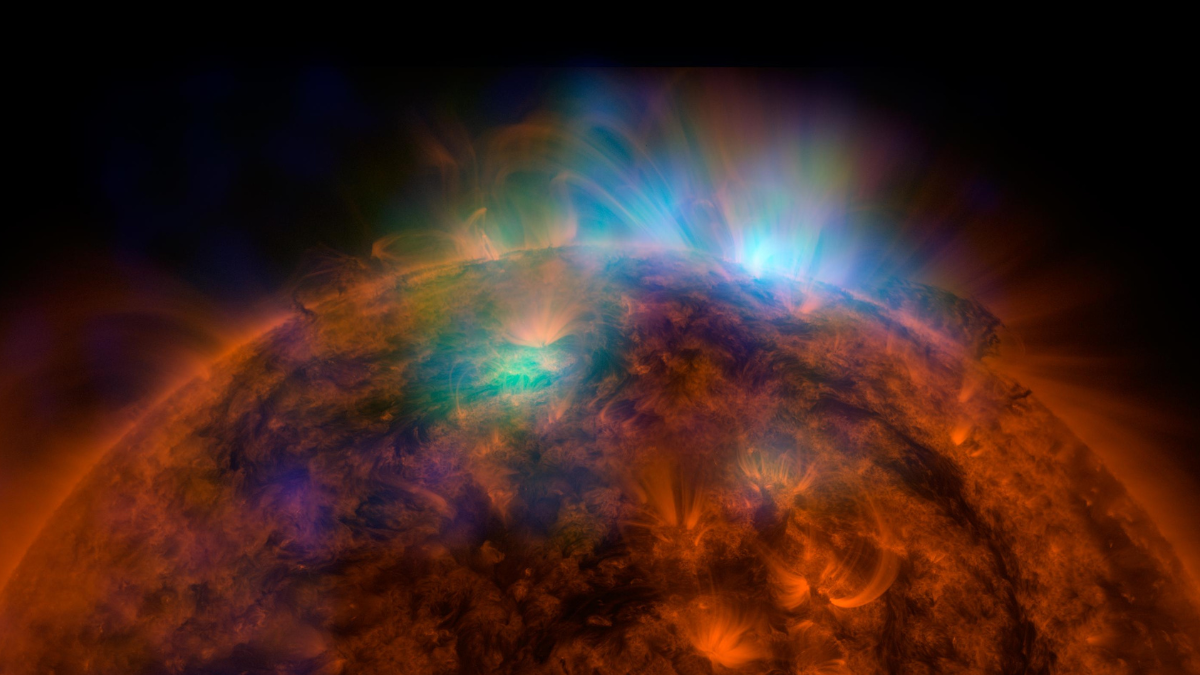 A NASA photograph of the sun.