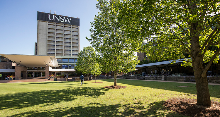 UNSW Library Lawn