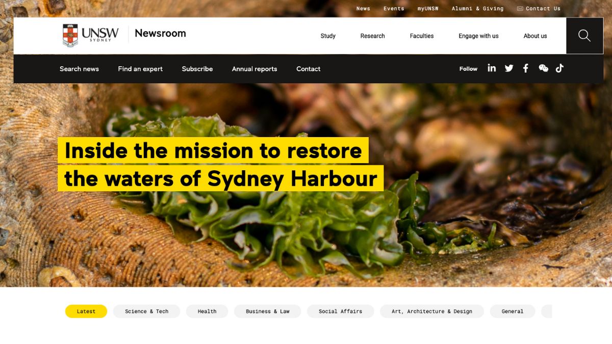 UNSW Newsroom website