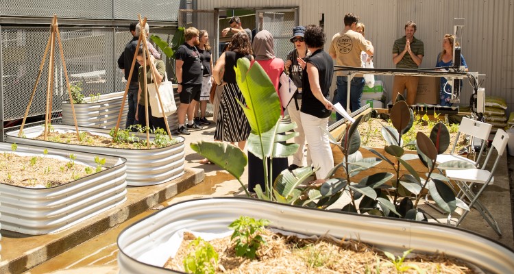 Urban growers