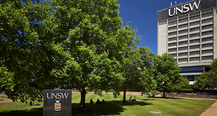 UNSW library lawn