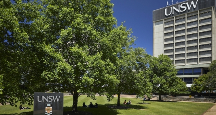 UNSW Library Lawn