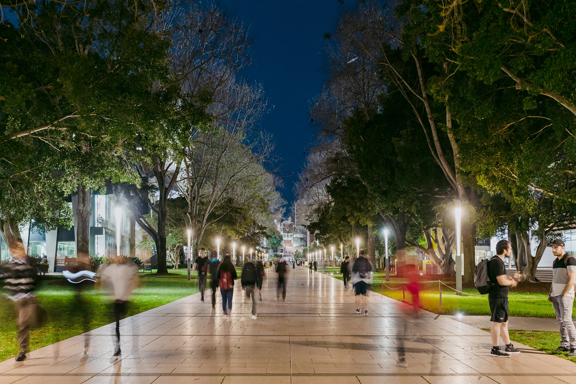 Campus at night