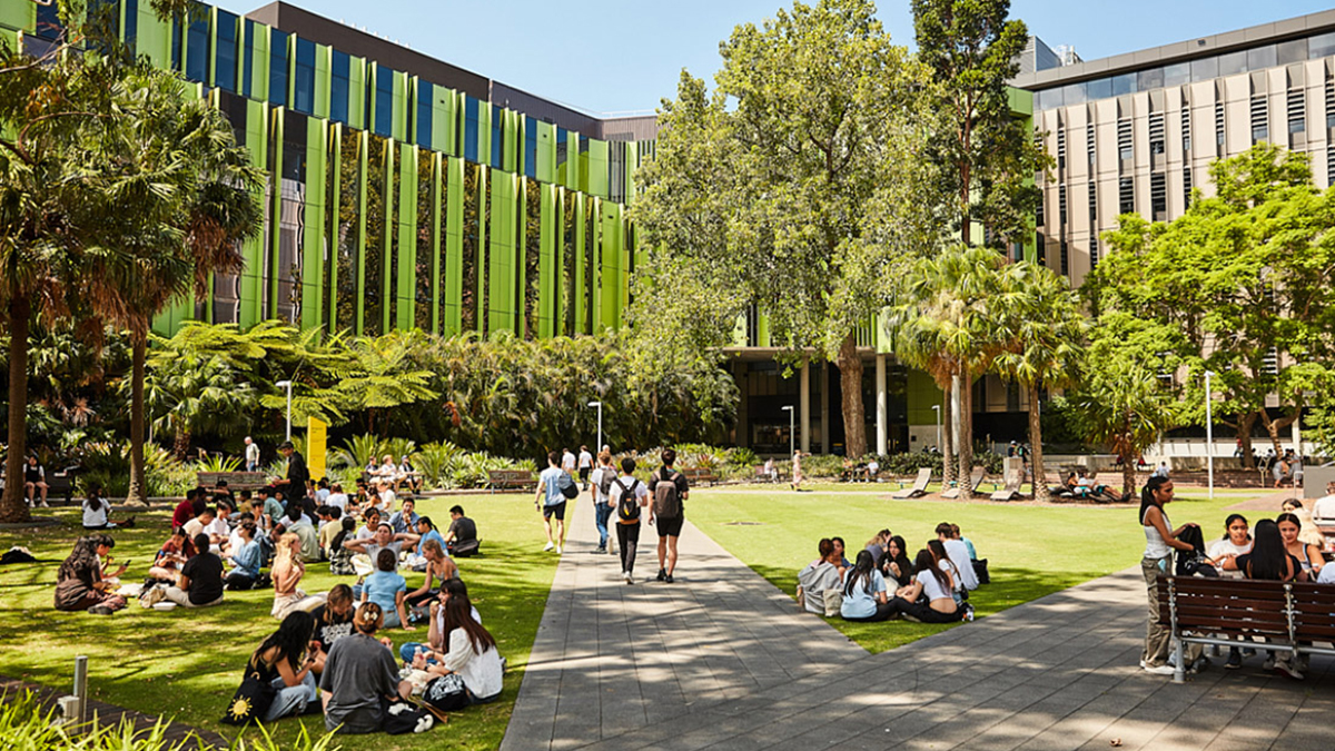 View of people sitting on lawn at UNSW campus