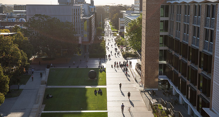 main walkway of UNSW 