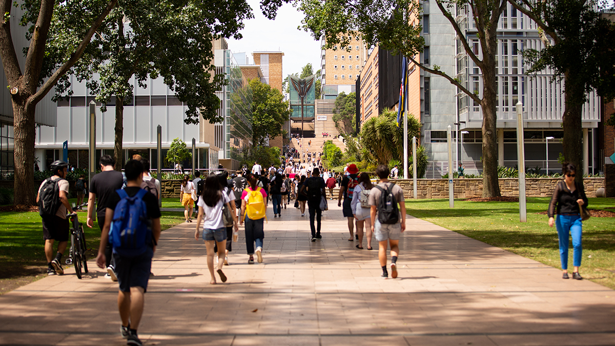 People walking on main university walkway