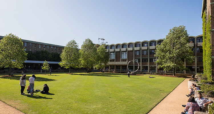 UNSW Library Lawn