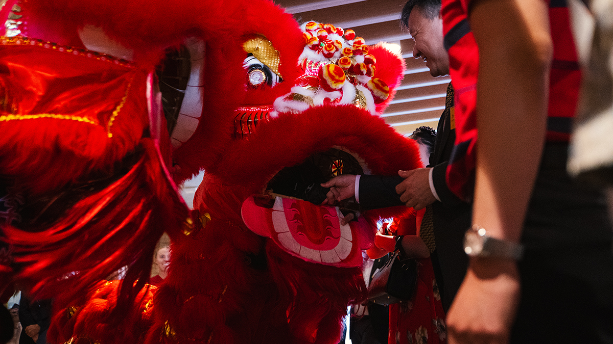 A red lion dancer during Chinese New Year celebrations